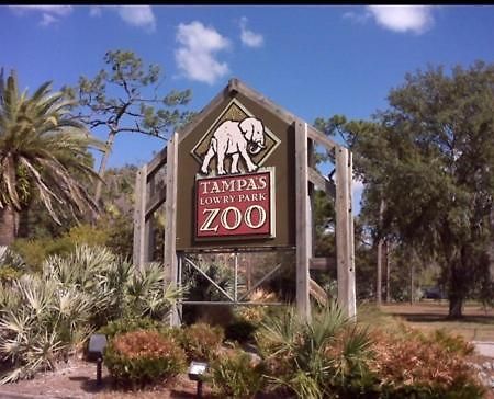 Bush Garden Park Nearby Apartments Tampa Exterior foto